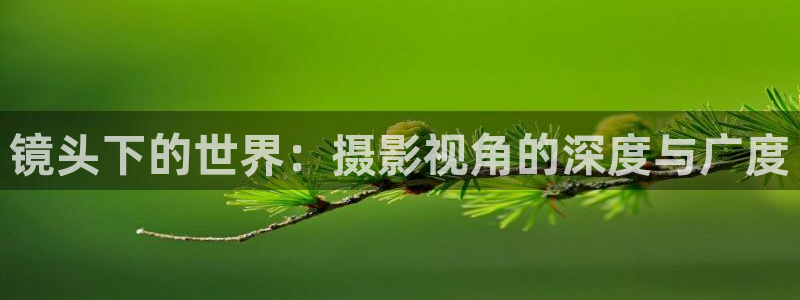 神马影视院达达兔