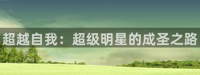 神马影院达达兔我不卡：超越自我：超级明星的成圣之路